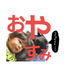 yes  i  can（個別スタンプ：9）