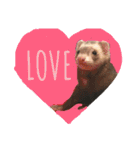 我が家のアイドル (I LOVE FERRET)（個別スタンプ：23）