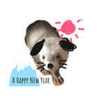 我が家のアイドル (I LOVE FERRET)（個別スタンプ：24）