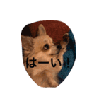 mimimoca（個別スタンプ：3）