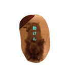 mimimoca（個別スタンプ：6）
