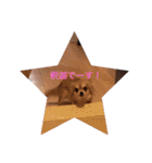mimimoca（個別スタンプ：13）