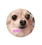mimimoca（個別スタンプ：14）