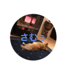 mimimoca（個別スタンプ：15）