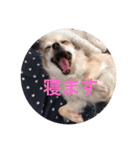 mimimoca（個別スタンプ：22）