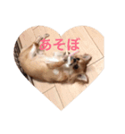 mimimoca（個別スタンプ：24）