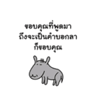 Thai Joke Mook Ha Ha（個別スタンプ：20）