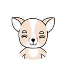 wow~chihuahua（個別スタンプ：5）