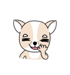 wow~chihuahua（個別スタンプ：6）