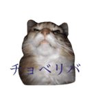 リサの日常4（個別スタンプ：9）