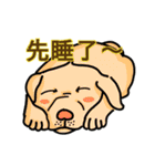 Happy Library(NCNU)（個別スタンプ：19）