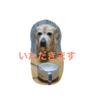 MomoAndo1（個別スタンプ：3）