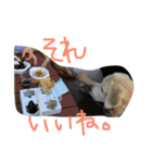 MomoAndo1（個別スタンプ：26）