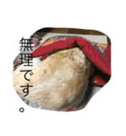 MomoAndo1（個別スタンプ：29）