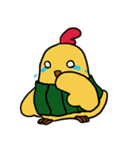 Belly chicken（個別スタンプ：18）