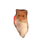 hamster:3（個別スタンプ：1）