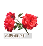 薔薇(バラ)の花だけで40種『上品ローズ』（個別スタンプ：1）