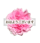 薔薇(バラ)の花だけで40種『上品ローズ』（個別スタンプ：2）