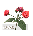 薔薇(バラ)の花だけで40種『上品ローズ』（個別スタンプ：4）