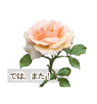 薔薇(バラ)の花だけで40種『上品ローズ』（個別スタンプ：8）