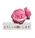 薔薇(バラ)の花だけで40種『上品ローズ』（個別スタンプ：10）