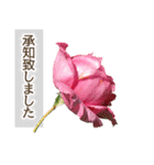 薔薇(バラ)の花だけで40種『上品ローズ』（個別スタンプ：11）