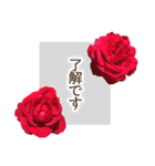 薔薇(バラ)の花だけで40種『上品ローズ』（個別スタンプ：12）