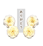 薔薇(バラ)の花だけで40種『上品ローズ』（個別スタンプ：16）