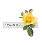 薔薇(バラ)の花だけで40種『上品ローズ』（個別スタンプ：26）