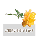 薔薇(バラ)の花だけで40種『上品ローズ』（個別スタンプ：28）