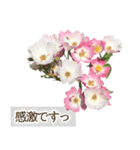 薔薇(バラ)の花だけで40種『上品ローズ』（個別スタンプ：32）