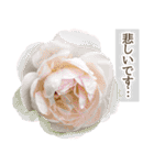 薔薇(バラ)の花だけで40種『上品ローズ』（個別スタンプ：34）