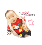 kento sticker 4（個別スタンプ：29）