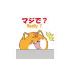 動く たまシバ（個別スタンプ：10）