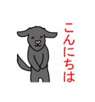 黒い犬から一言（個別スタンプ：3）