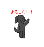 黒い犬から一言（個別スタンプ：13）