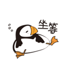 Lovely Puffin（個別スタンプ：15）