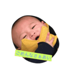 せいすた（個別スタンプ：1）
