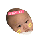 せいすた（個別スタンプ：5）