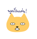 Noisy Yellow Cat（個別スタンプ：10）