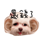 Garbage Dog（個別スタンプ：3）