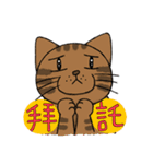 Naughty cats: Xiao p mao（個別スタンプ：30）