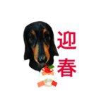 Mokichi's Christmas ＆ The New Year（個別スタンプ：11）