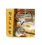 カストの毎日（個別スタンプ：9）