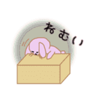 ピンクうさぎのラビー2（個別スタンプ：2）