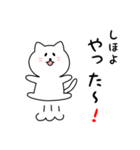 しほよさん用しろねこ（個別スタンプ：11）