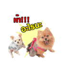 Gus＆Gar Candy dogs（個別スタンプ：9）