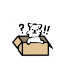 A cute puppy 'Cream'（個別スタンプ：15）