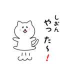 しおんさん用しろねこ（個別スタンプ：11）