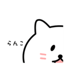 らんこさん用しろねこ（個別スタンプ：38）